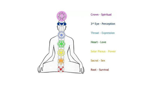 Understanding the Differences Between Our Physical Body and Our Subtle Body