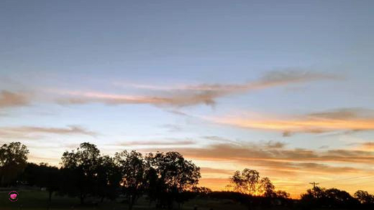 Harvest: The Bountiful Blessings of Autumn