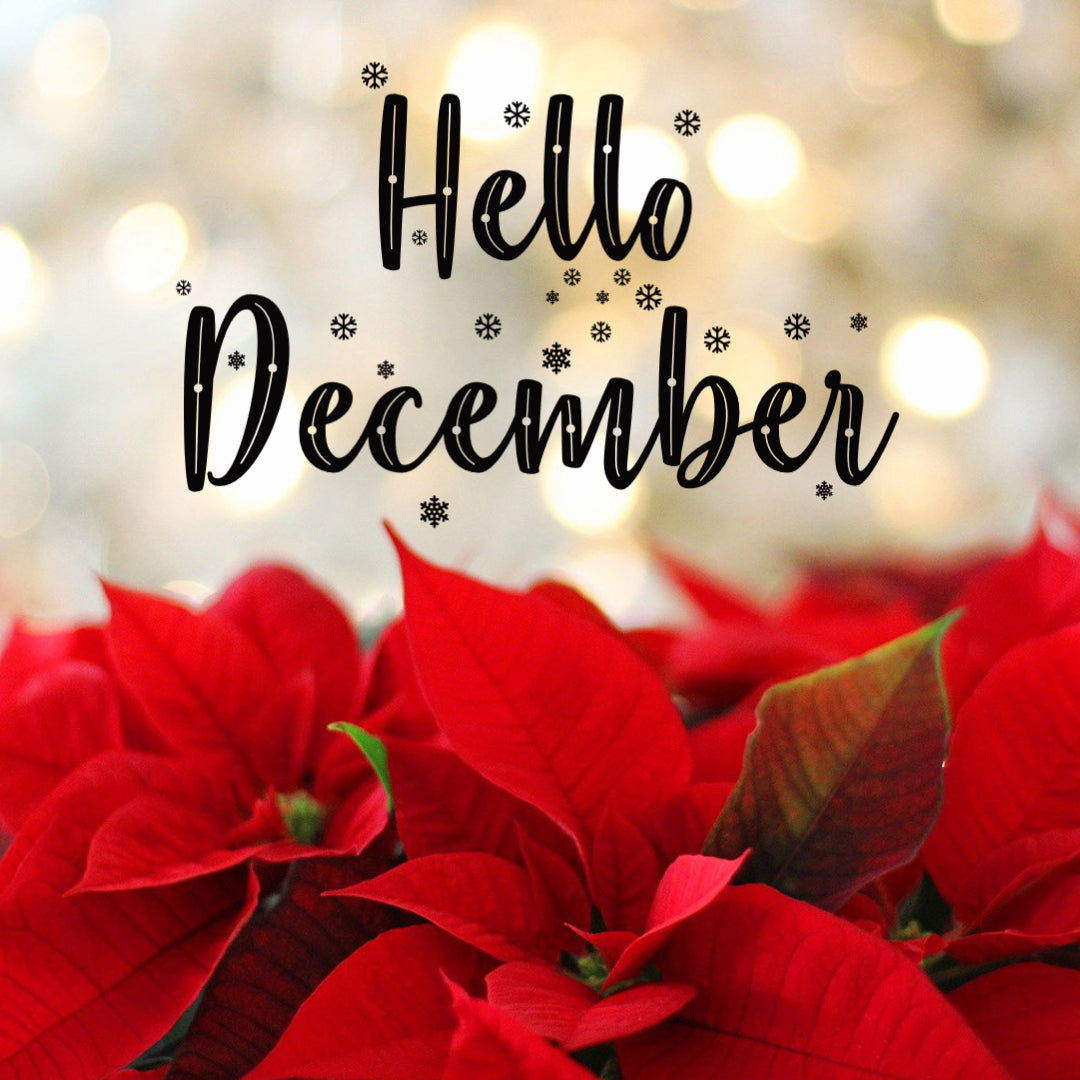 Embracing the Magic of December: Seasonal Celebrations