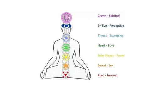 Understanding the Differences Between Our Physical Body and Our Subtle Body